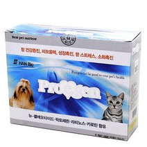 장건강 가루타입 강아지 종합영양제 추천 섞어주는 체력보충 맛있는