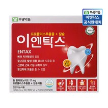 부광약품 이엔탁스 약국정품 ENTAX, 2개입
