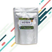 굿소일 JDF 케어 파이토케미컬 모링가 잎 분말 500g, 필수 아미노산 품은 천연 건강식품, 1개