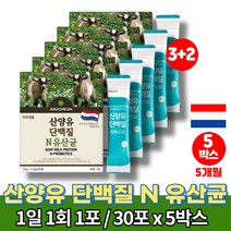 산양 분유 우유 분말 스틱 초등학생 중학생 청소년 직장인 타먹는 트레이더스 단백질 가루 보조제 퀄리고트 유익균 먹이 프락토 올리고당, 5박스