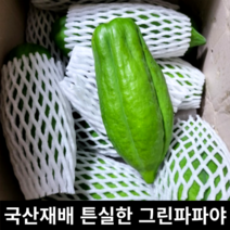 [국내산/국산] 그린파파야 3kg 쏨땀샐러드 파파야 쏨땀재료 쏨땀 샐러드 파파야생과 생 그린 생과 아시안채소 아시아채소 태국샐러드 말라꺼, 3kg 내외 (5-6과)