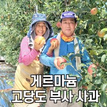 함양 고당도 게르마늄 부사 사과, 5kg 중과(18-20과)