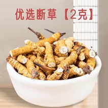 동충하초 정품 순수 티베트 통통 건강식품 한방 재료, 2g