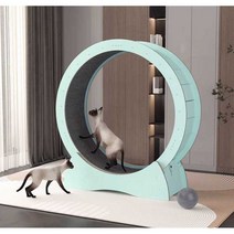 고양이 캣휠 트레드밀 스크래쳐 장난감 베어링 캣워크, 옐로우 중형