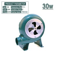 낙엽청소기 무선 대포송풍기 220V 240V 가정용 송풍기 철 바베큐 소형 원심 30W 40W 60W 80W EU 미국 플매트 카펫 매트 러그 어댑터 용 녹색, 01 30W_01 EU