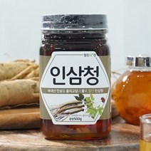 [창원몰]가고파힐링푸드 인삼청 500g, 단품