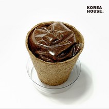 강낭콩 키우기 세트 어린이 식물 기르기 체험키트