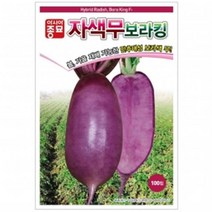 아시아종묘/무씨앗종자 보라킹 (100립)
