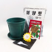 [바보사랑] 미미네가든 초보 더덕 키우기 6종 세트, 상세 설명 참조