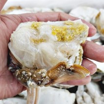 연평도꽃게 숫꽃게 냉동절단꽃게 집게발 없는 프몽 1kg, 1개