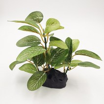 테라리움만들기 새로운 플라스틱 수족관 식물 장식 물고기 탱크 잠수정 인공 잔디, Plant B, One size