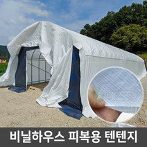 비닐하우스 텐텐지 하우스자재 피복 자재, 텐텐지 180g 10m x 30m, 1개