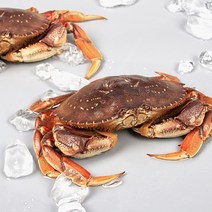 씨애틀 활 던지니스 크랩 1미 700g/미국산, 없음