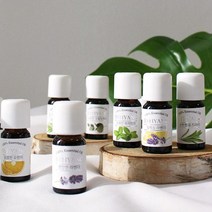 THS 더허브샵 바이향 에센셜오일 10ml 11종택1, 피톤로즈마리
