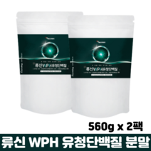 류신단백질 분말 BCAA 아미노산 운동 근육 단백질 뉴신 로이신 프로틴 WPH 유청단백질, 2팩, 단백질분말 560g