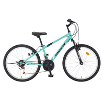 헬멧증정 무료조립 삼천리자전거 스마트 리얼텍SF24 입문용 21단 MTB 24인치 어린이자전거, 98% 완성조립 (택배 또는 수도권 직배송), A9.모노피스타 로즈핑크, 민트