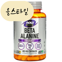 올스타일 나우푸드 베타 알라닌 750 mg 120정 미국직구 beta alanine, 1개, 120개