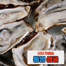 내고향농수산 통영 제철 생굴 석화 각굴 하프셀 1kg 5kg 10kg, 봉지생굴(200g*5봉지)