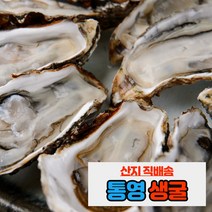 내고향농수산 통영 제철 생굴 석화 각굴 하프셀 1kg 5kg 10kg, 석화(통굴 각굴) 5kg