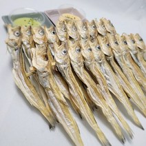 [인생건어물]지방태 대구 줄노가리 100미, 줄노가리 120급 100미