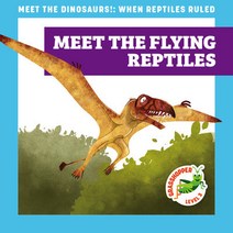 JUMP! GRASSHOPPER [AR 퀴즈 지원도서] MEET THE DINOSAURS!: WHEN REPTILES RULED 6종 SET, MEET THE FLYING REPTILES