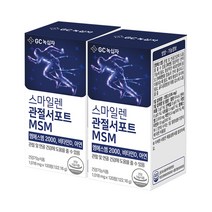 [KT알파쇼핑]녹십자 스마일렌 관절서포트 MSM 엠에스엠 120정X2통, 상세페이지참조, 중