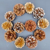 늘솜아뜰리에 솔방울 대 12P 오너먼트 크리스마스 장식 사진 촬영 인테리어 소품, 6.화이트+골드=12P