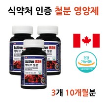 빈혈 생리전 임산부 출산 전 후 철분 부족 영양제