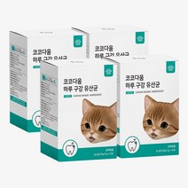코코다움 고양이 구강케어 영양제 입냄새 구내염 잇몸, 4박스