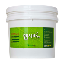 헵시바 화이트(W) 베란다 창고 다용도실 습도조절 항곰팡이 페인트 4Kg 10Kg, 헵시바W(화이트) 10Kg, 1개