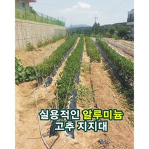 고추지지대 알루미늄 Y자, 10개