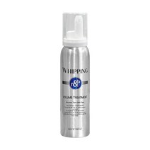 알앤비 단백질 휘핑 볼륨 트리트먼트 150ml노워시 헤어 미용실 트리트먼트 추천, 150ml, 1개