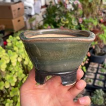 예운분: 둥근 정사각분 소, 04.연두/녹색