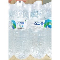 스파클 생수(2L x6)/업소용, 1, 1