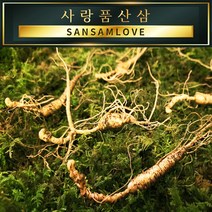 사랑품산삼 산양삼 12년근 15년근 장뇌삼 산양산삼 천종 자연산산삼, 3번_(A급) 15년근 2뿌리 [한박스포장]
