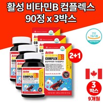 캐나다 비타민 b100 b3 b6 b군 복합제 코스트코 고용량 활성 액티브 비타민b 아르기닌 niacin pantothenic acid 엘 시스테인 티로신 글루타민, 3박스