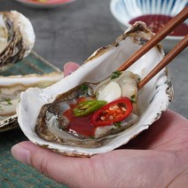통영 석화 하프셀 30미내외, 없음