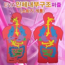 EVA 인체내부구조(소화기계통)퍼즐, 1