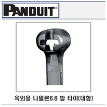 팬듀이트 옥외용 밥 타이(대형), BT6LH-C0(길이538mm폭7mm)