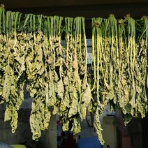 맛집사 유기농 무청 시래기 우거지 무우청 건시래기 건나물 말린 무우시래기 100g 500g, 유기농 시래기 500g
