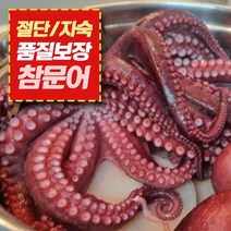 동해안 참문어 피문어 대왕문어 절단 자숙 산지직송 감량없는 700g 1kg 1.5kg 초장포함, 1개