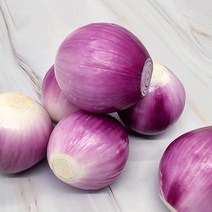 국내산 적양파 2kg