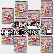 협력업체 해피무초코맛 초코맛비스킷 초코쿠키1봉(40개)X10개, 본상품선택, 본상품선택