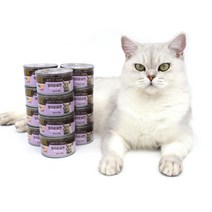 동동이네 고양이 간식 ANF 고양이캔 참치순살 95g 길냥이캔 통조림 주식사료캔