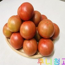 후니청과 신선한[특품]완숙 찰토마토(동양종), 1box, 5kg(5번)동양종