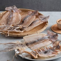 채움미 마른건오징어 국산 건오징어 5미