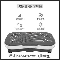 음파진동기 전신 뱃살 쉐이크 덜덜이 음파 운동기구 홈트 다이어트 기구, 스탠다드B/펄화이트/4대기능/99단 인버터/