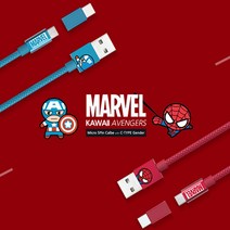 usb 고속충전케이블 충전선 5타입 C타입 1m 마블 2in1, 스파이더맨