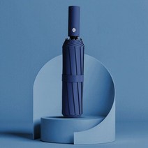 열 뼈 자동 접이식 우산 비 눈 태양
