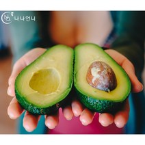 나나언니 아보카도 중과 850g 5과 (개당170g내외)